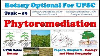 Phytoremediation Types Advantages Limitations Botany Lectures By Dr Pravin Ekade [upl. by Nered]