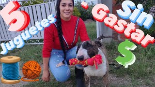 COMO HACER 5 JUGUETES PARA TUS PERROS 🎾🤗con MATERIALES CASEROS✂👕🏘 SIN GASTAR DINERO💵y MUY FACILES 😲 [upl. by Carol]