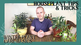 Winter Plant Care Basics  Houseplants Tips amp Tricks Ep 27 [upl. by Daberath]