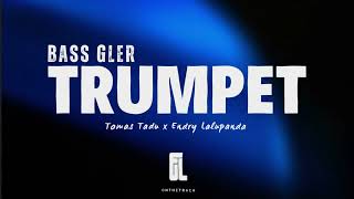 TRUMPET REMIX 2024 💃 [upl. by Eerihs]