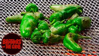 Padron Peppers [upl. by Sinegra806]