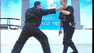 Shinden Fudo ryu dakentaijutsu Taikai 1998 [upl. by Eedrahs155]