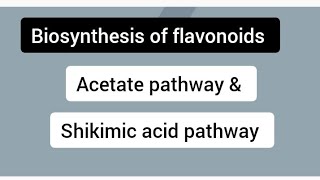 biosynthesis of flavonoids  Acetate pathway amp Shikimic acid pathway msc chemistry [upl. by Ingaborg]