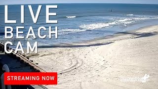 Live Surf Cam Atlantic City New Jersey [upl. by Antipus739]