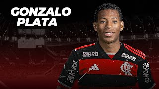 Gonzalo Plata ► Bem Vindo Ao Flamengo ● Crazy Skills Goals amp Assists  2024 HD [upl. by Miki]