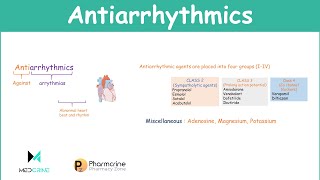 Antiarrhythmic Agents Pharmacology Classifications Examples and Notes [upl. by Greyso]