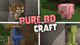 Pure Bd Craft Texture Pack for Minecraft 119  Java amp Bedrock [upl. by Poole]