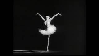 SaintSaëns  The Dying Swan Le Cygne HQ  Maya Plisetskaya [upl. by Oiramaj]