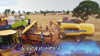 ኢትዮጵያ ታምርት [upl. by Urba]