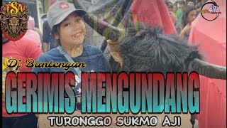 Gerimis mengundang versi bantengan turonggo sukmo aji [upl. by Ait562]