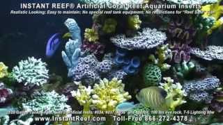 Artificial Corals for Aquariums for saltwater amp freshwater fish tanks [upl. by Oak]