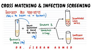 CROSS MATCHING AND SCREENING OF INFECTIONS II HEMATOLOGY II BLOOD BANKING II PATHOLOGY LECTURES II [upl. by Mojgan]