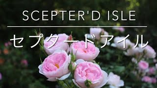 セプタードアイル Scepterd Isle [upl. by Hadden]