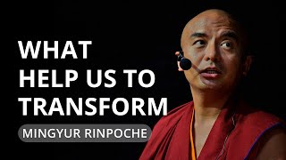 What Helps Us to Transform  teaching by Mingyur Rinpoche [upl. by Aicatsue]