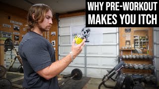 Why Do PreWorkouts Make You Itch [upl. by Ntsuj]