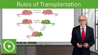 Introduction to the Problems and Rules of Transplantation – Immunology  Lecturio [upl. by Nogas556]