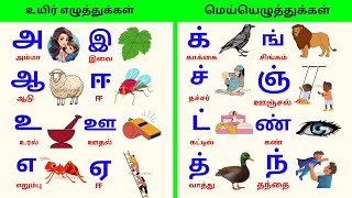 உயிர் எழுத்துக்கள்  மெய் எழுத்துக்கள்  tamil alphabets  Uyir Ezhuthukal  Tamil Alphabets [upl. by Parris]