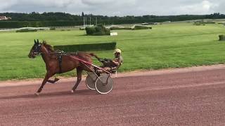 2018 French American Trotting Club [upl. by Angelle383]