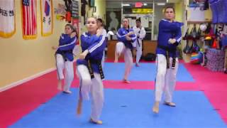 Ultimate Champions Tae Kwon Do  Avenue U [upl. by Sakram830]