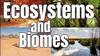 Ecosystems and Biomes  Classroom Learning Video [upl. by Aciruam]