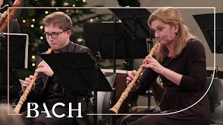 Bach  Jesus bleibet meine Freude from Cantata BWV 147  Netherlands Bach Society [upl. by Aleekat]