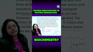 Protein Denaturation vs Protein Degradation Explained 💡 [upl. by Ennayllek]