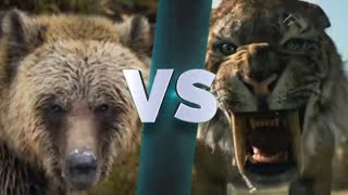 Grizzly Bear VS Smilodon Populator  Sticknodes Animation [upl. by Raouf]