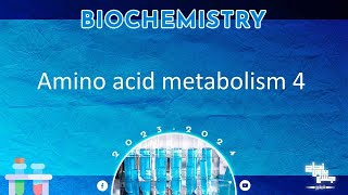 L4 Amino acid metabolism  Glutamic acid Glutamine Aspartic acid Asparagine Biochemistry [upl. by Aneehsirk]