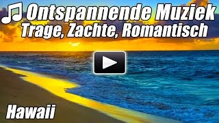 Instrumentale Piano Muziek Pianosongs Romantische Liefdesliedjes Voor de Studie van Ontspannen Beste [upl. by Mickey]