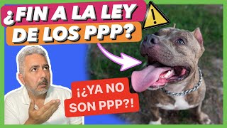 ¡ADIÓS A LA LEY DE LOS PERROS PPP 🚫  ¡¿AHORA TODOS los PERROS DEBEN PASAR UN EXAMEN 🤯 [upl. by Ayom]