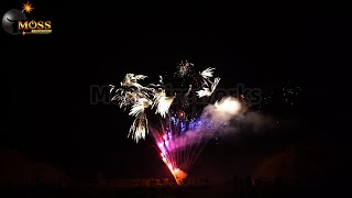 100 Shots Cake Fireworks Show [upl. by Mandel409]