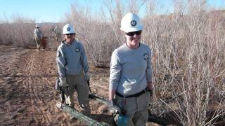 AmeriCorps NCCC  Class 17 Graduation Slideshow Denver Campuswmv [upl. by Eedna998]