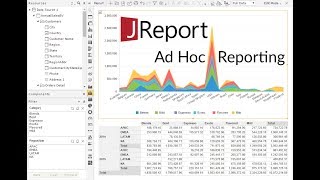 What is Ad Hoc Reporting  Ad Hoc Reporting [upl. by Esinyl]