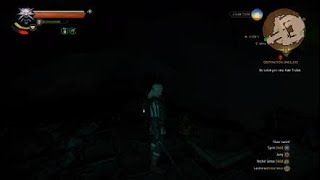 The Witcher 3 Wild Hunt  where to find ekimmara hide  location [upl. by Mariana]