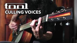 Culling Voices  TOOL Solo Acoustic Cover [upl. by Anelec]