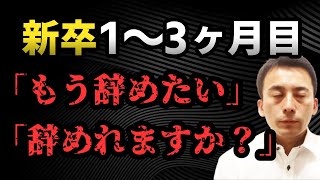 新卒入社した会社を辞めると今後のキャリアにどう影響してくるのか？ [upl. by Attirehs]