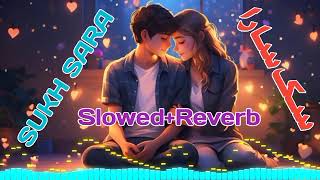 Sukh Sara Shahid babar  Slowed amp Reverb [upl. by Gora]