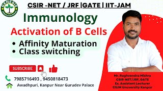 BCell Activation amp Differentiation  Affinity Maturation  Class Switching  Immunology  L24 [upl. by Mathew]