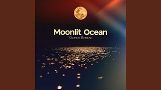 Moonlit Ocean [upl. by Kabab]