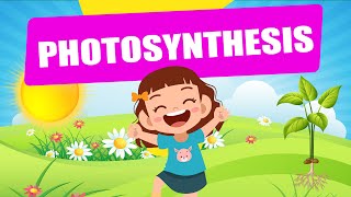 Photosynthesis  Educational Video  Science Lesson  Crash Course  Biology  Plants [upl. by Ahsakat]