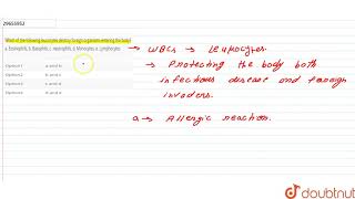 Which of the following leucocytes destroy foreign organisms entering the body a Eosinophils b [upl. by Cahra]