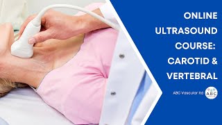 Ultrasound Online Course Carotid and Vertebral Arteries [upl. by Skell301]