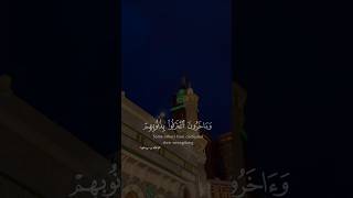 Beautiful recitation of Holy Quran 🤲💚 alquran quran islam islamicvideo patiences foryou [upl. by Manvel]