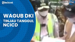 Wagub DKI Jakarta Tinjau Pembangunan Tanggul NCICD di Muara Angke Antisipasi Banjir [upl. by Higginson360]