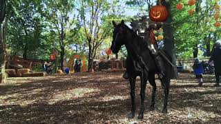 Headless Horseman Chevalier Sans Tête Halloween 2017 Great Horror Visual Fx for Mobile Devices [upl. by Bernette]