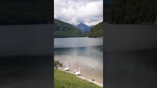 Alpsee lake Bavaria Germany [upl. by Jud873]