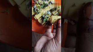 VIRAL Gujarati Khandvi Recipe  srkitchen youtubeshorts indiancuisine ytviral [upl. by Ellebasi]