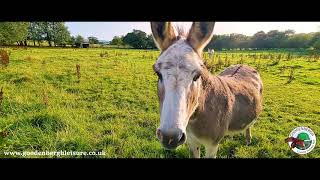 Goodenbergh Country Holiday Park  Low Bentham  Yorkshire Dales [upl. by Adlecirg527]