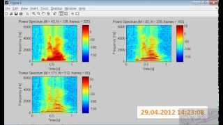 2 Voice Identification and Recognition System Project in MATLABavi [upl. by Uaeb]