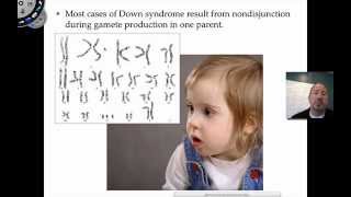 Chromosomal Disorders [upl. by Samella]